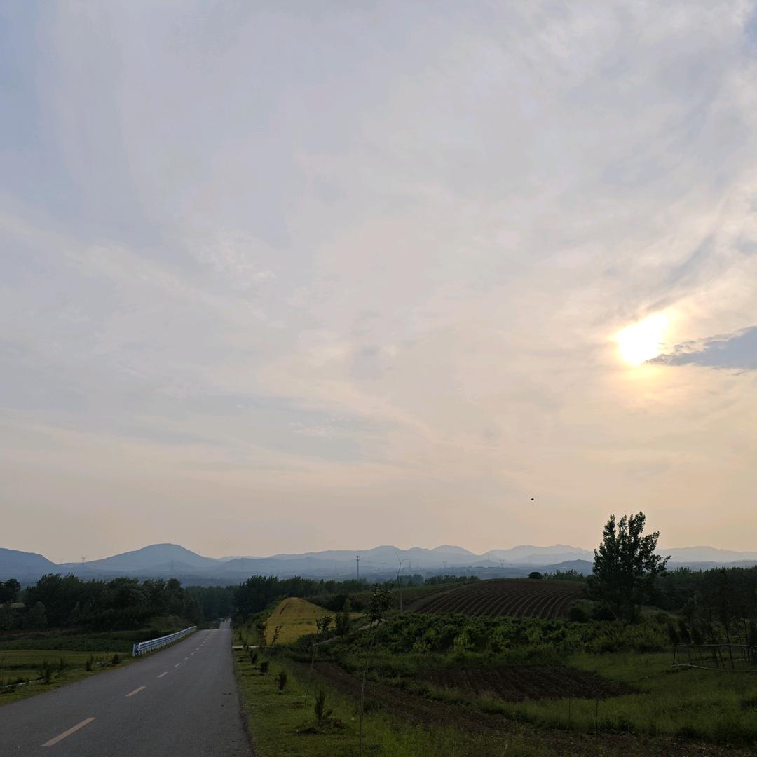 阿帝