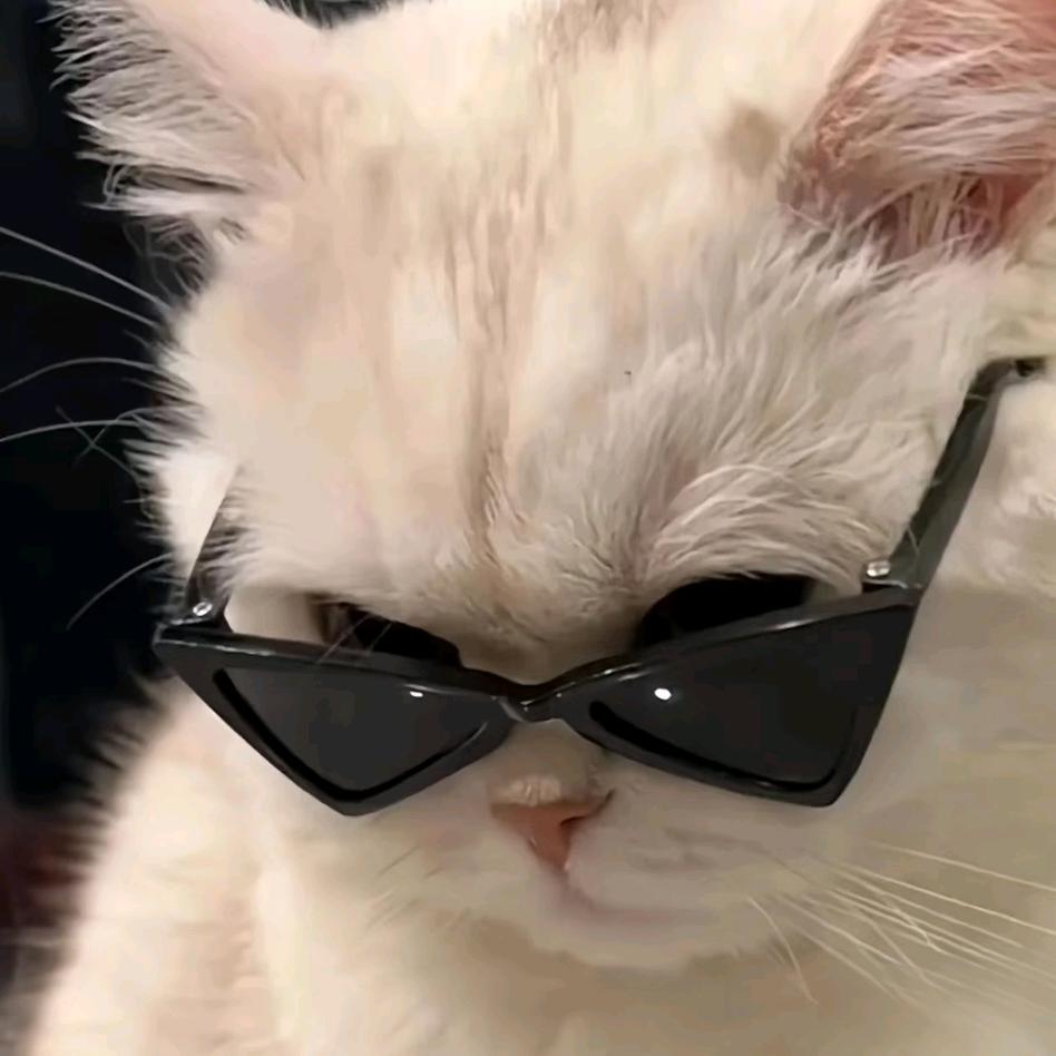 𝓛𝓲𝓺𝓾𝓮𝓾𝓻