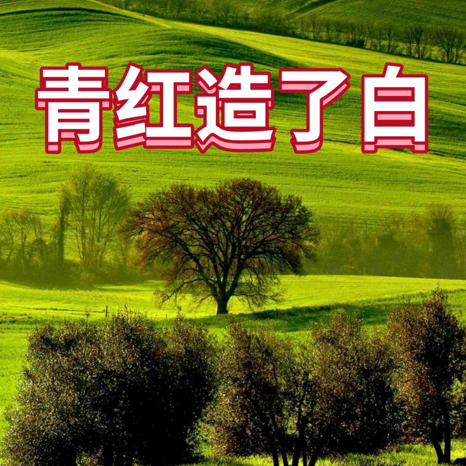青红造了白
