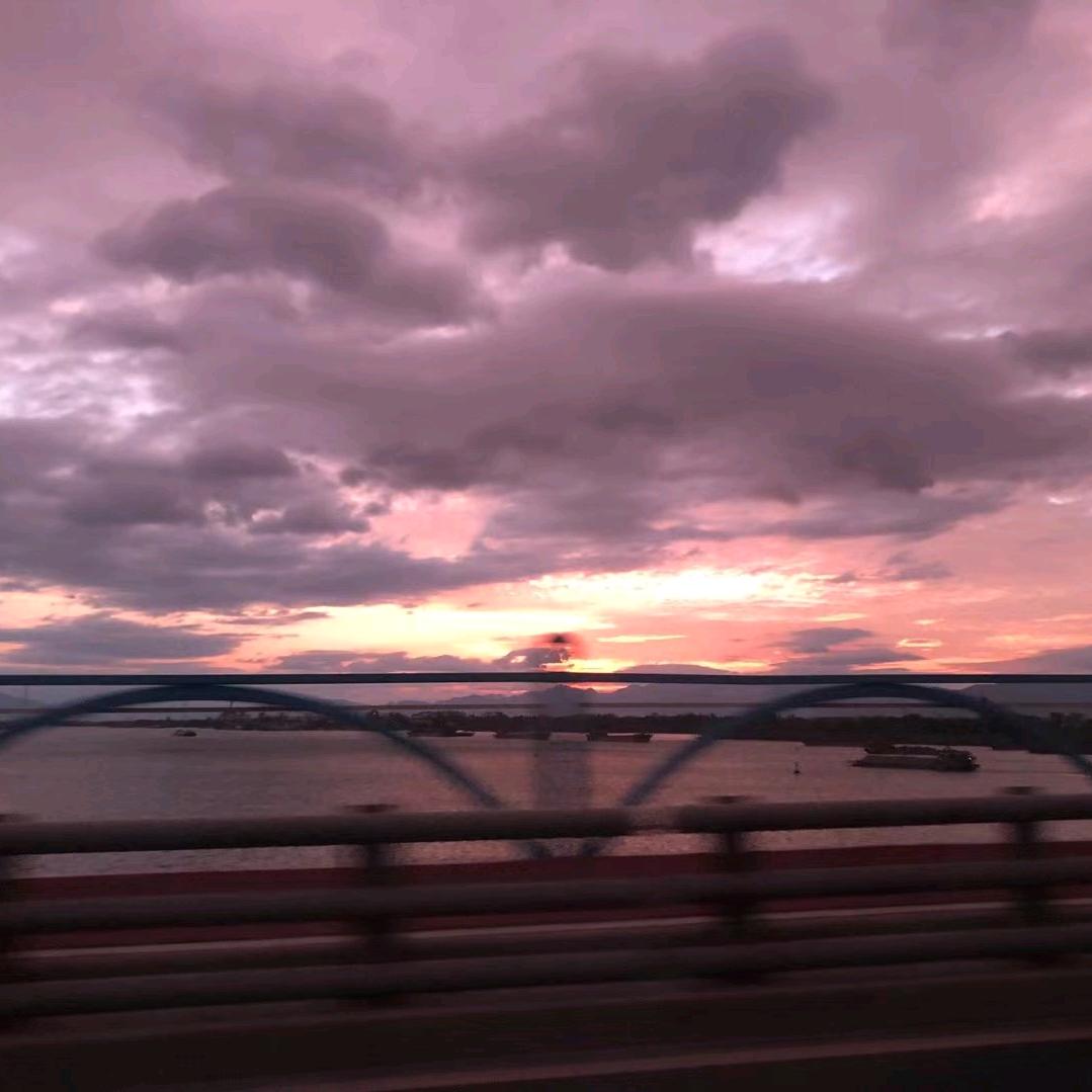 808（三角洲代肝）