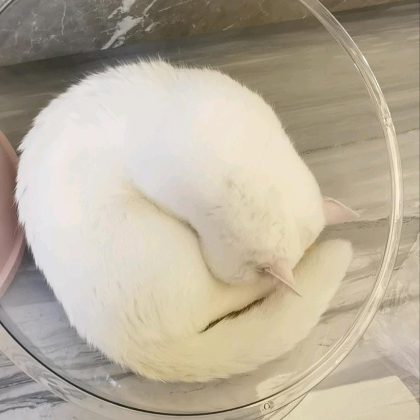 (๑•̀ㅂ•́)و✧