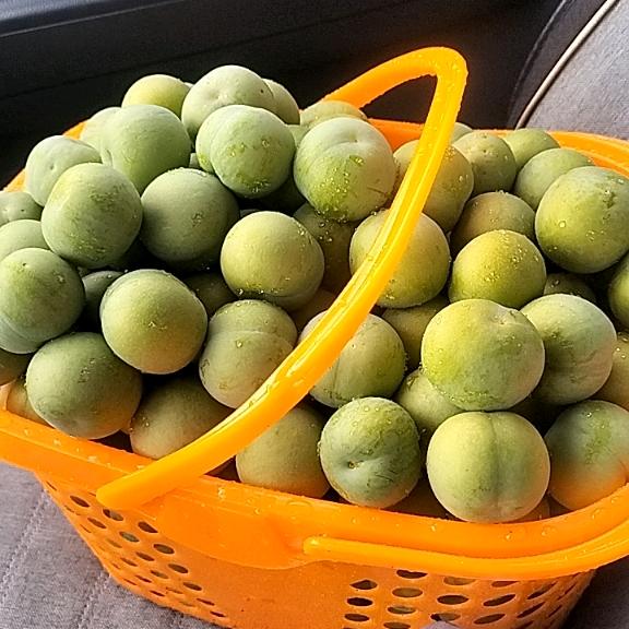 低调做人，，高调做事，