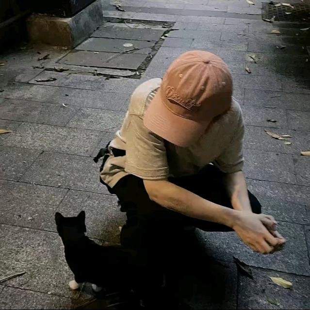 啵啵蛋包饭