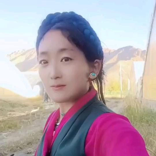 🌸后藏姑娘🌸