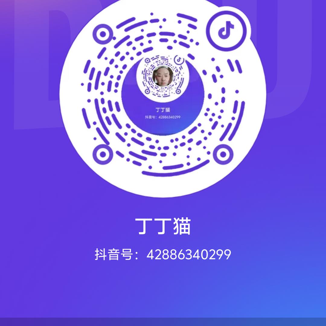 丁丁猫