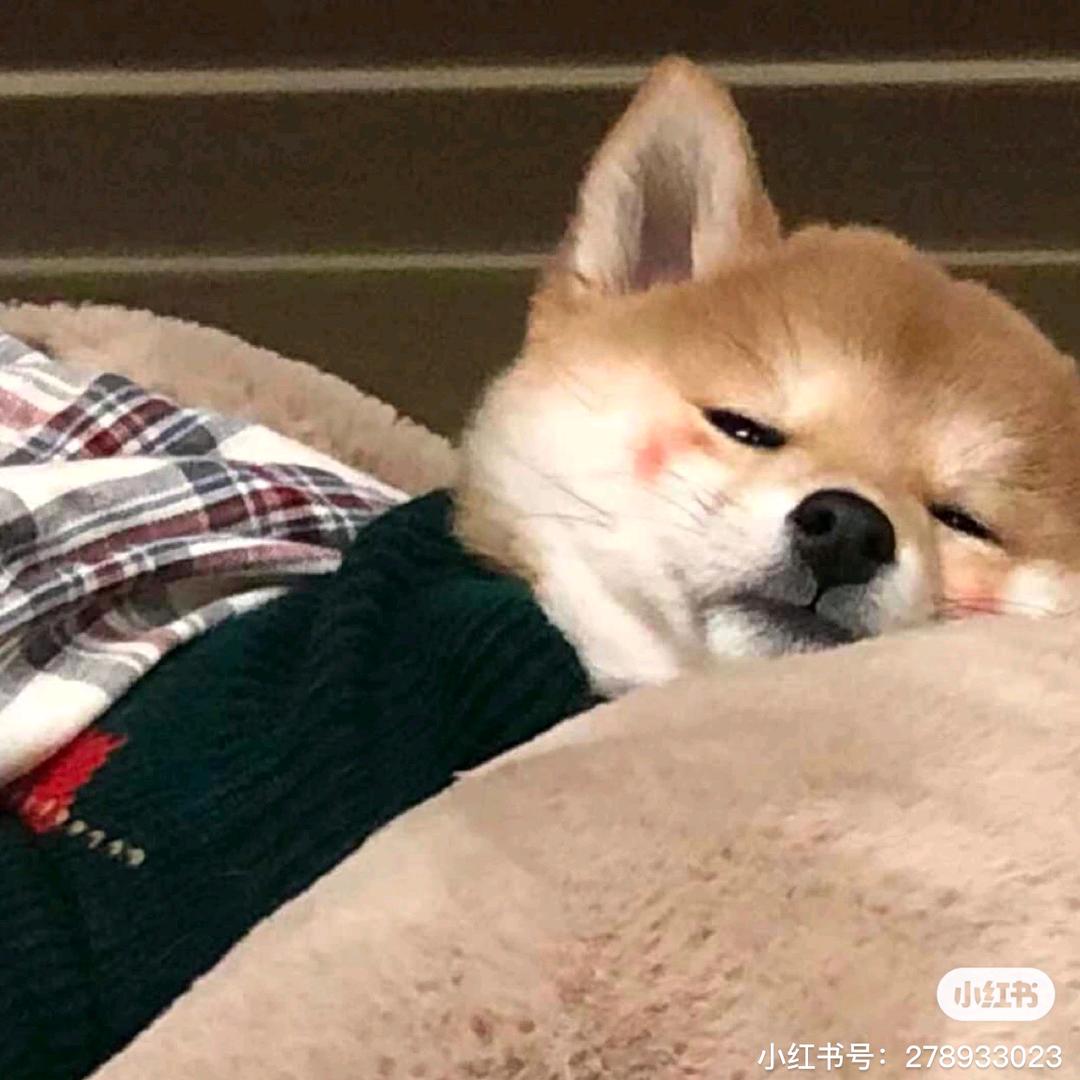 我玉米粑
