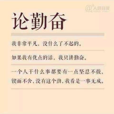 树根的抖音