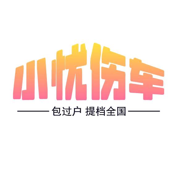 小忧伤说车