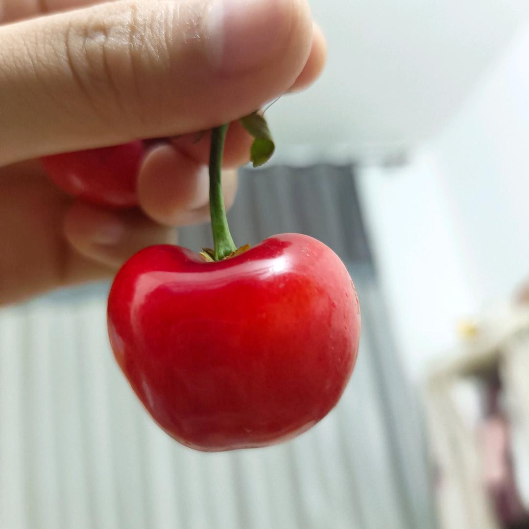 时✧*̣̩☽光☆不.:*语