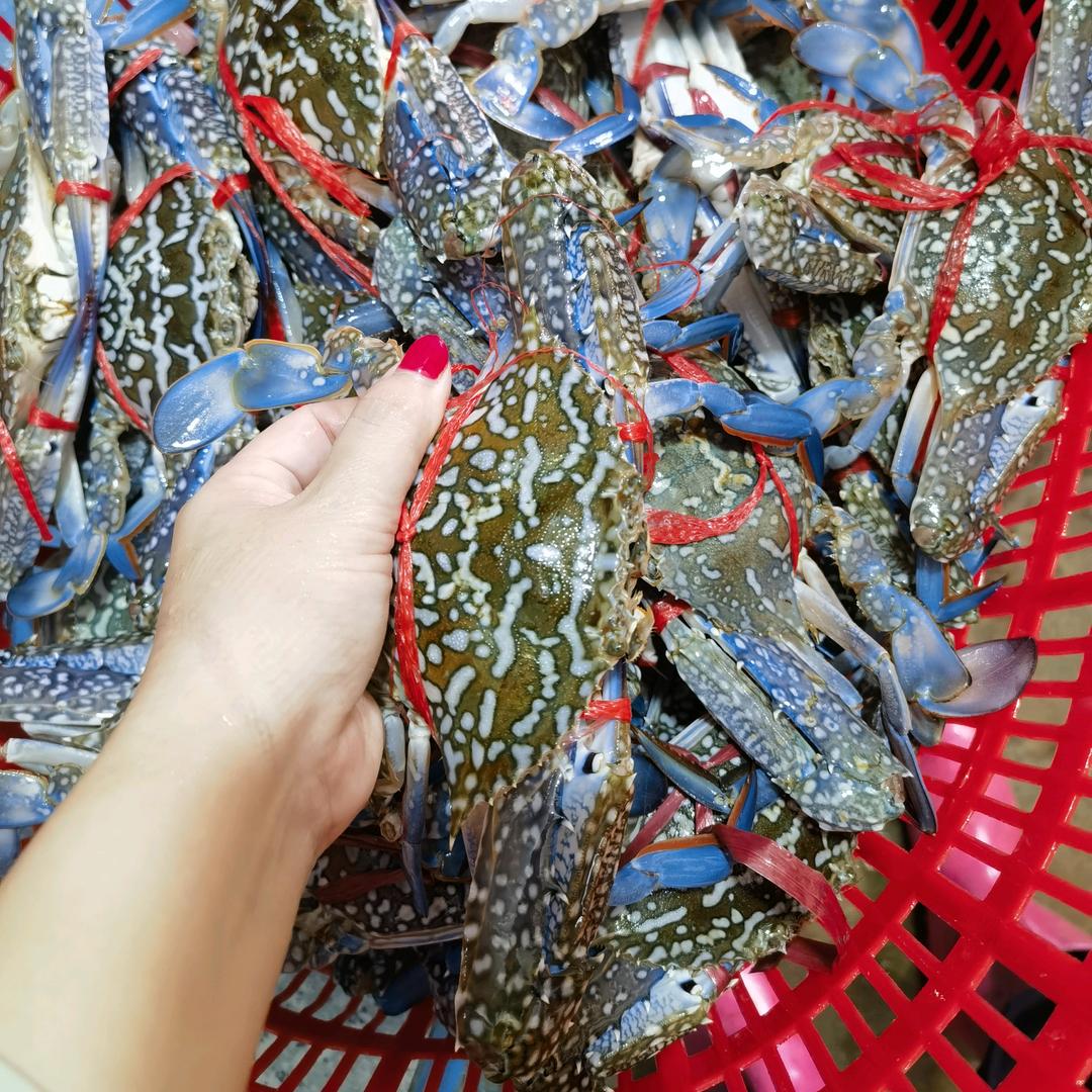 玲姐🍀海鲜批发