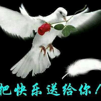 孤心求悟