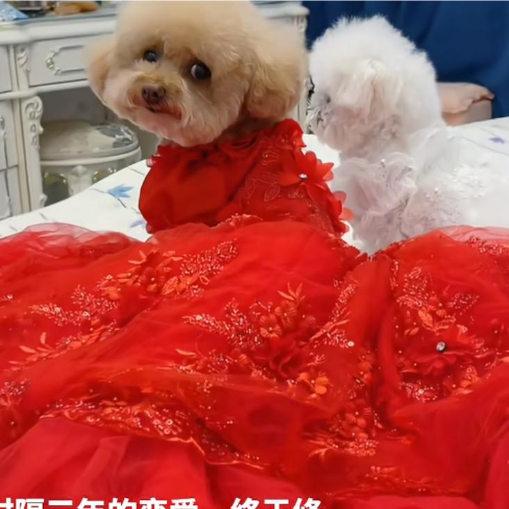 女人要好好爱自己