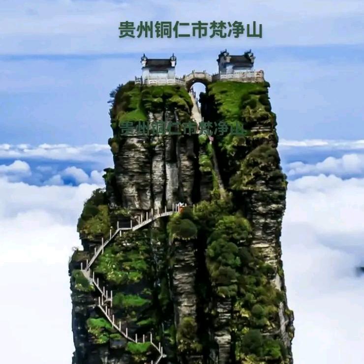 楊哥【爱山歌】楊哥