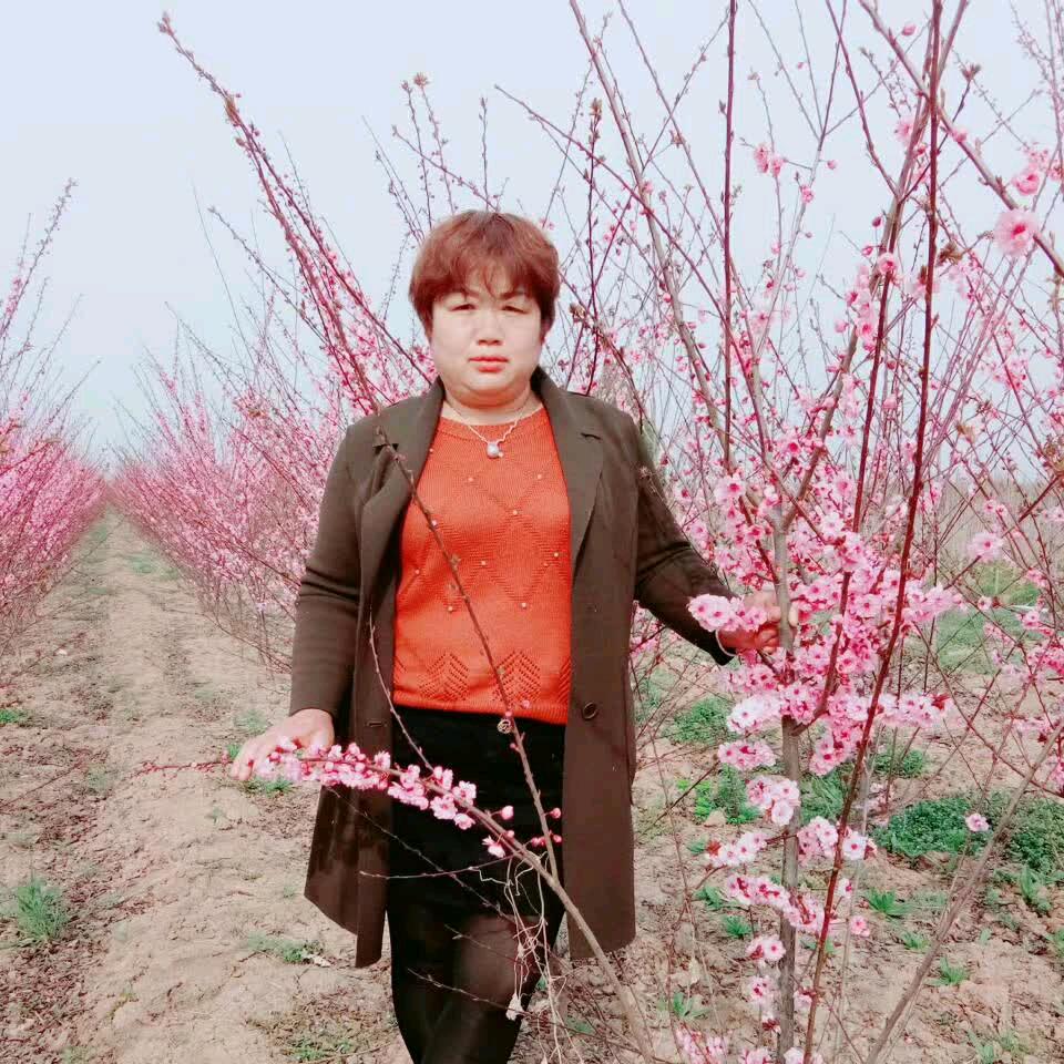 晨晨奶奶。