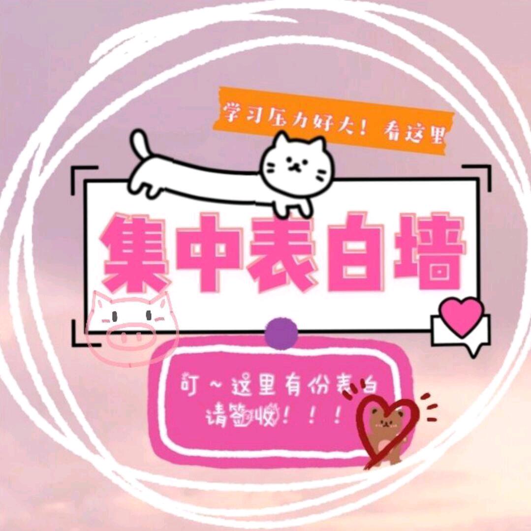 集中万能表白墙