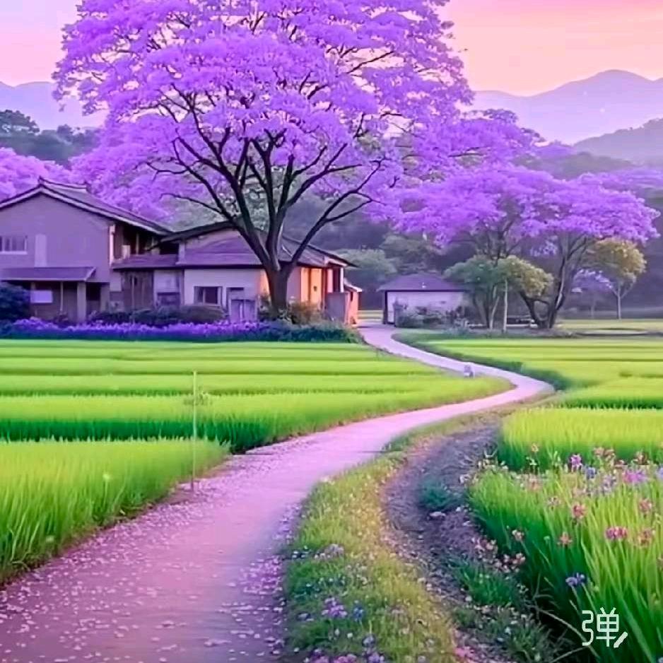 好运姐