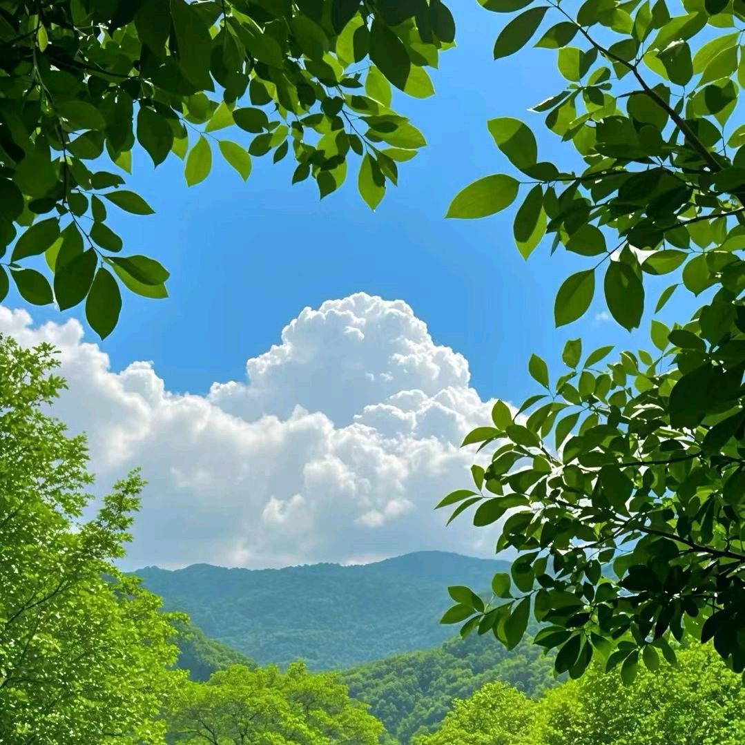 小甲.