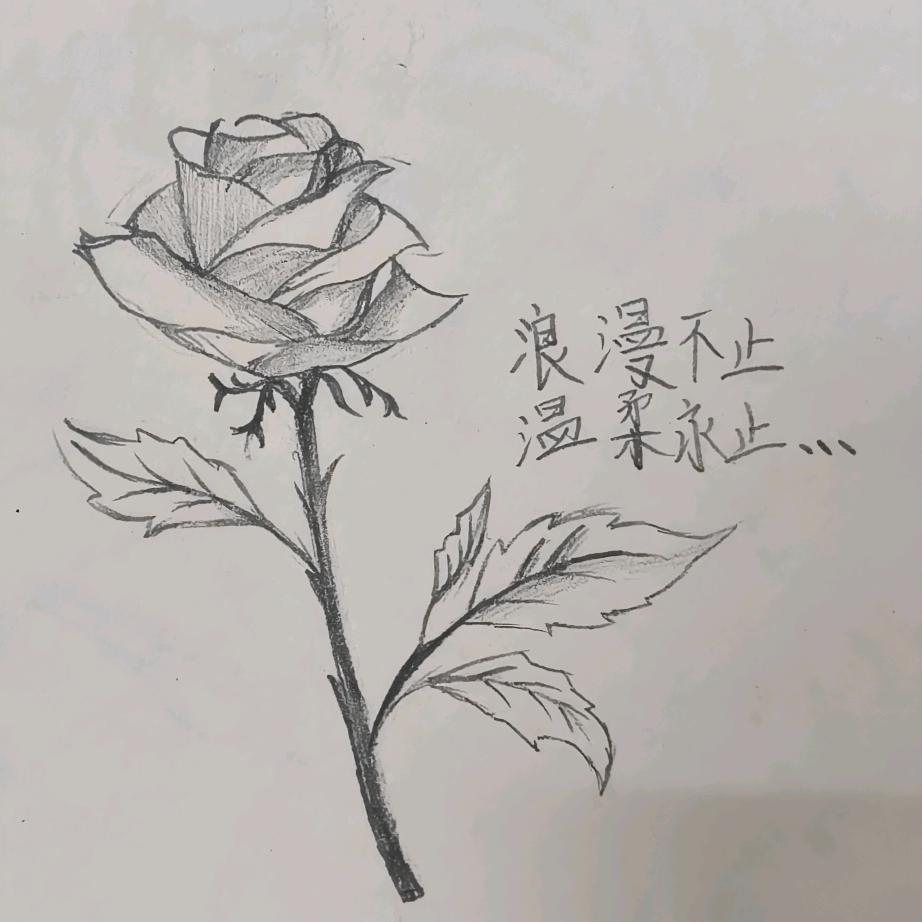 愛意随风起