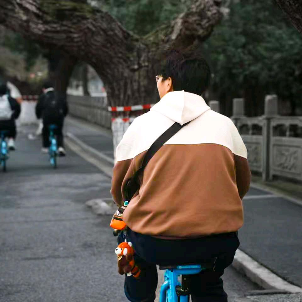 我在日本失踪了