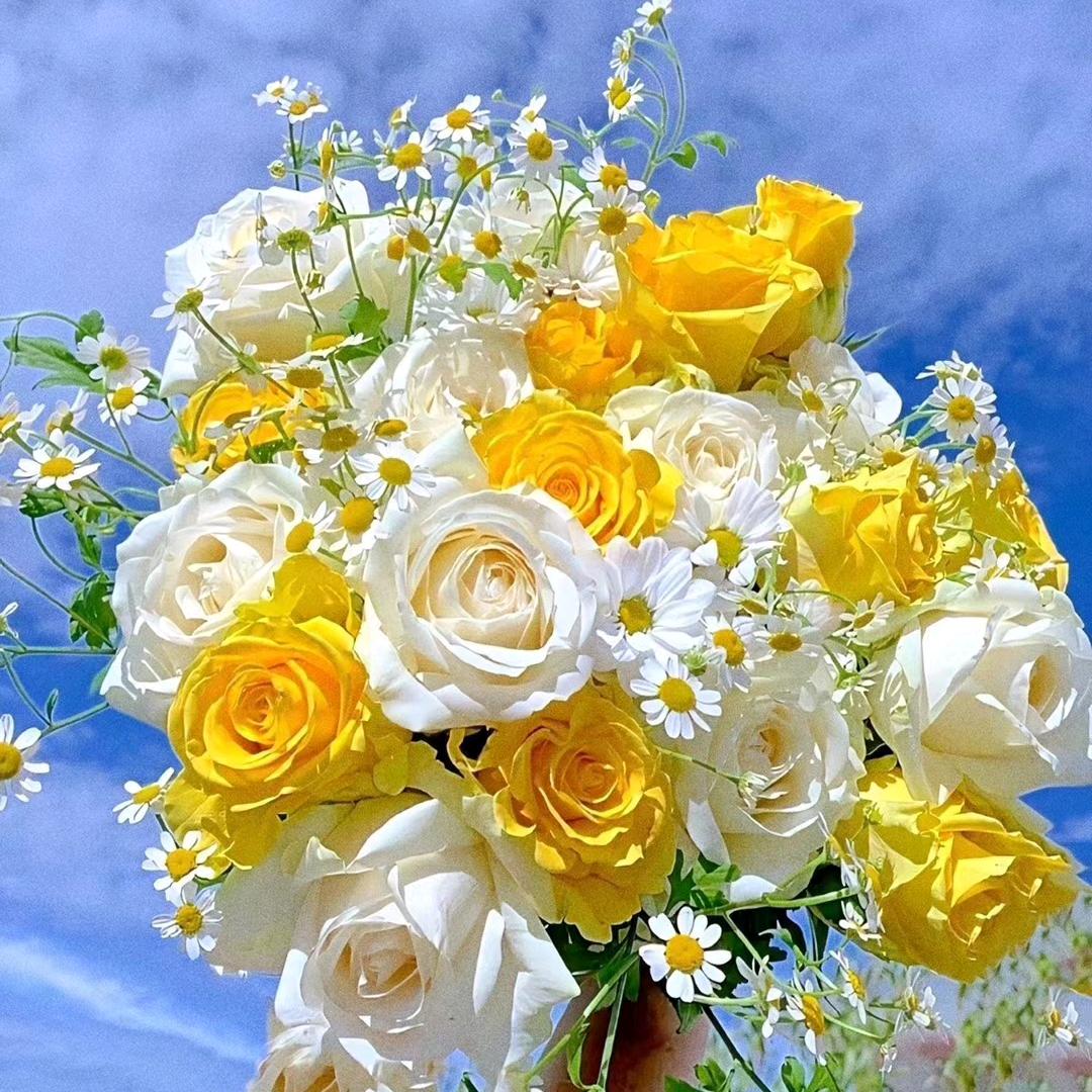冰糖小葫芦💓