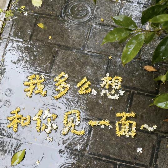 吻最爱的女人，做最野的渣男。