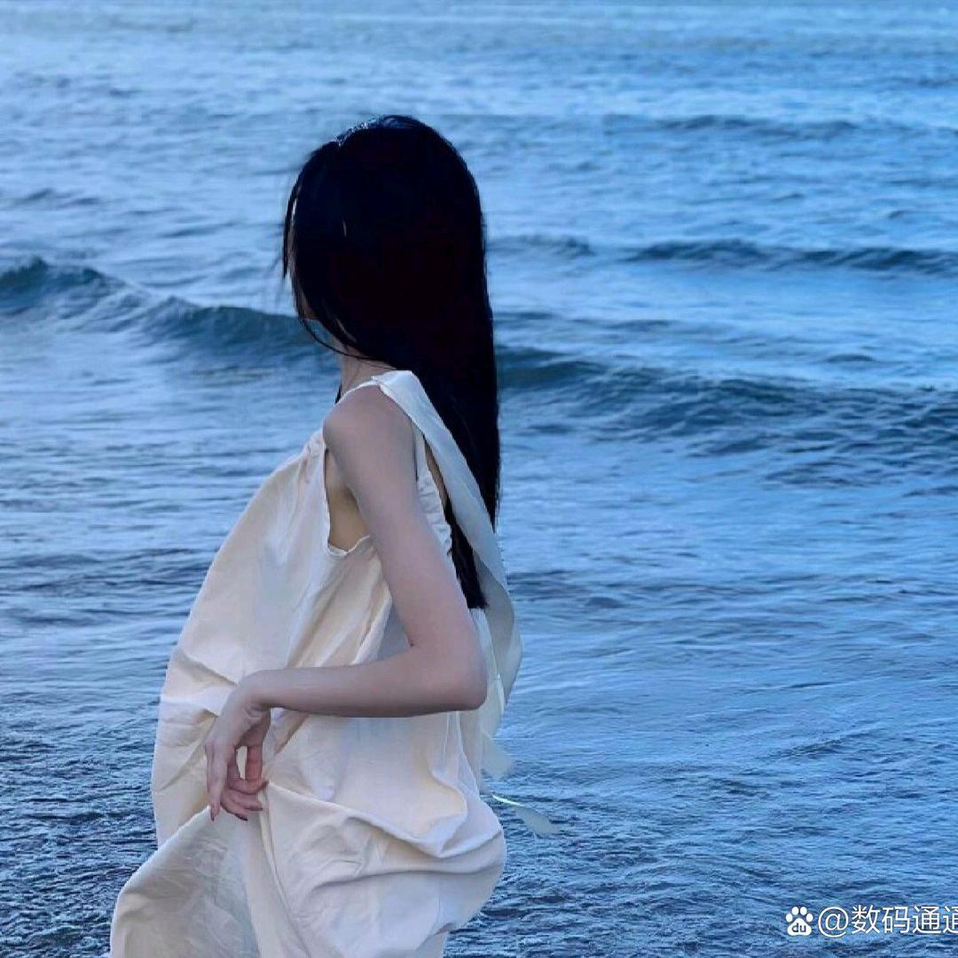 画饼小能手