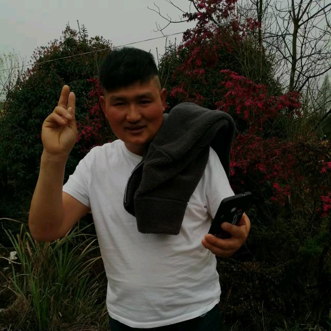 向往神鹰