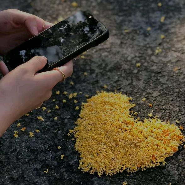 千千雪沧州商城2楼北区二道257-258