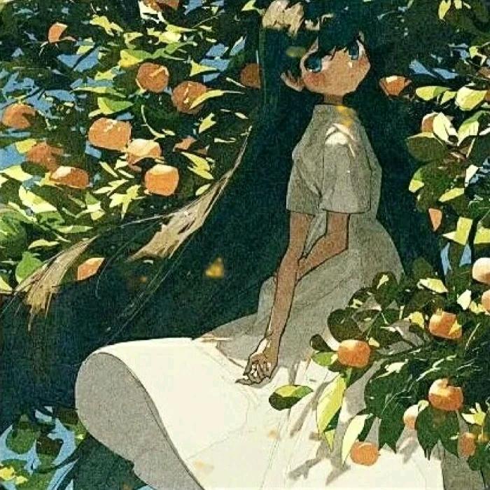 自由空理风