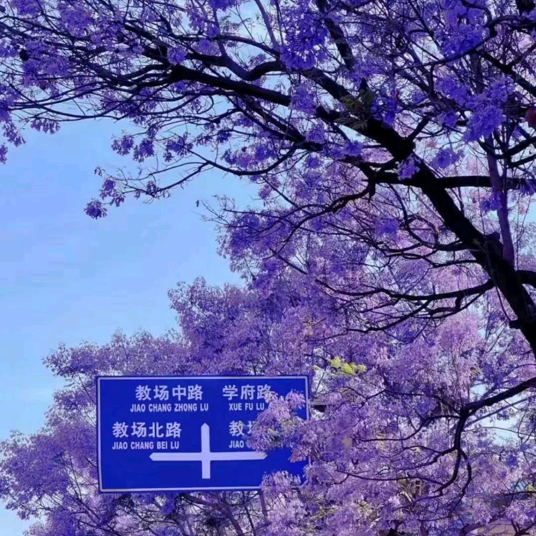 往后余生💞
