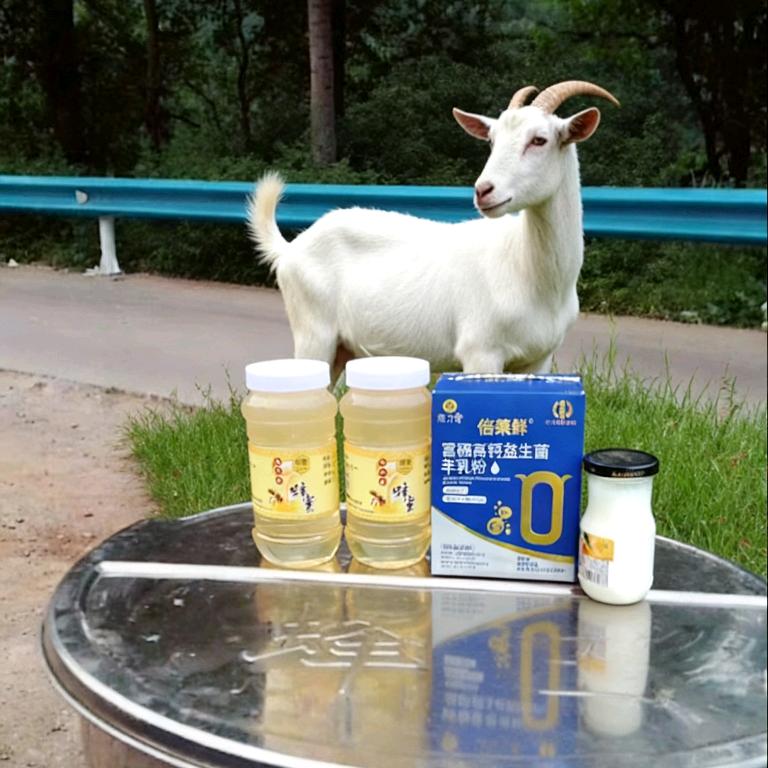 蜂蜜富硒高钙羊乳粉代理商秦玉件