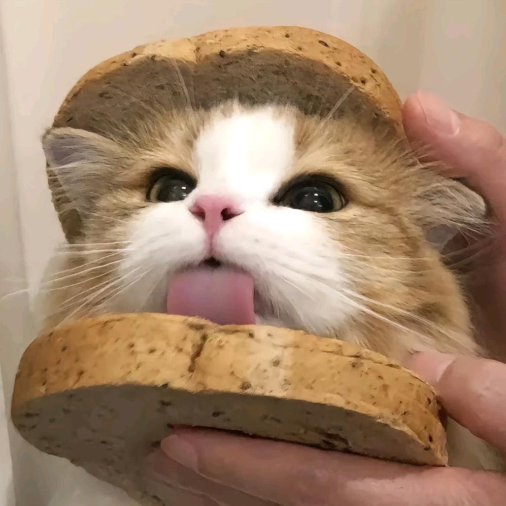 荇钰