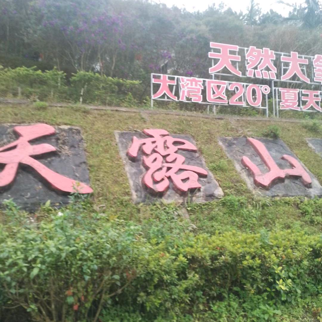 浪花