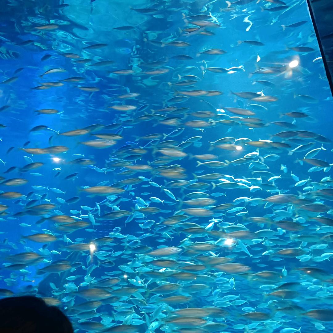 水是流泪的冰