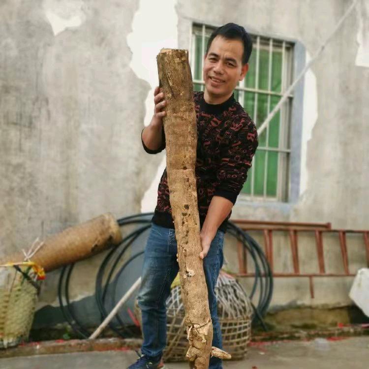 百草心语