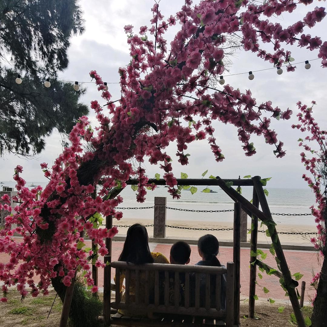 好看的视频