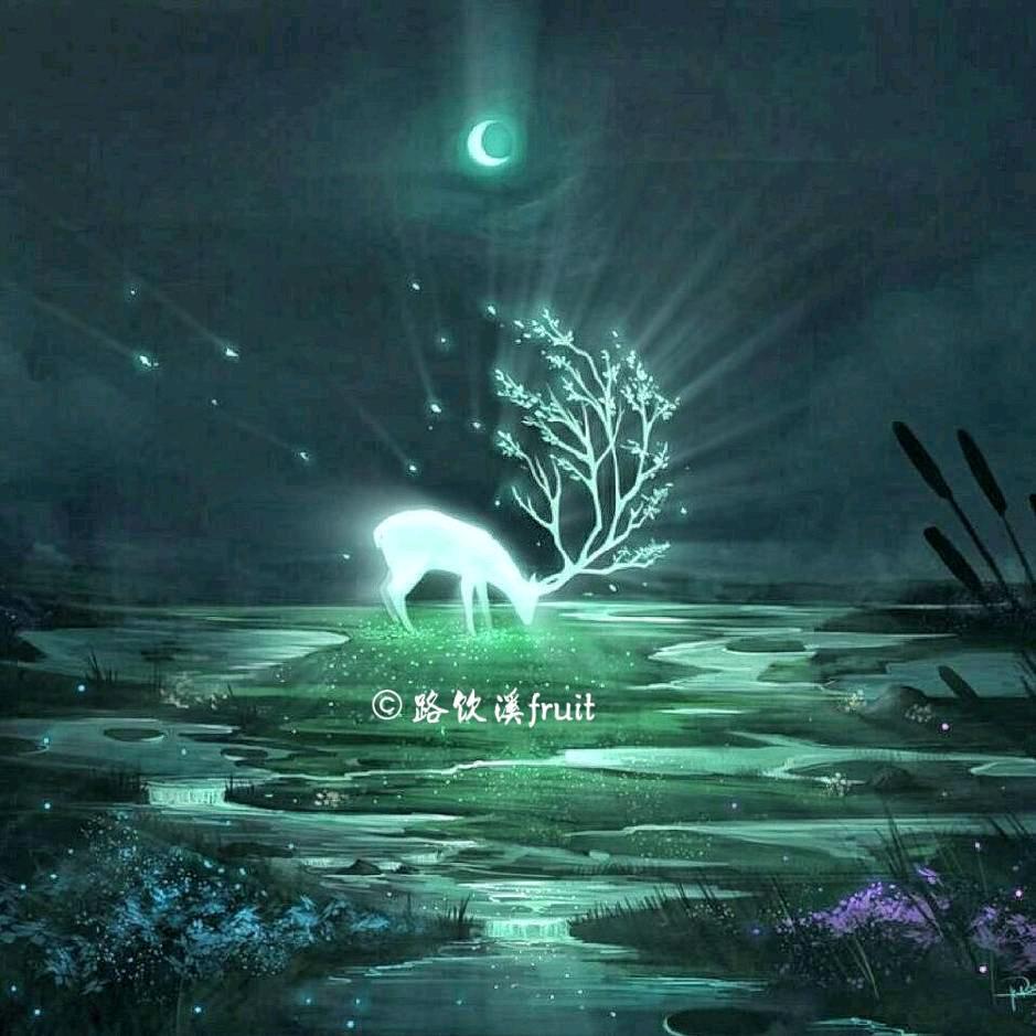 路饮溪水果