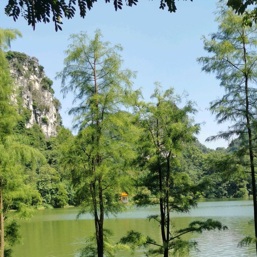 粗茶淡饭