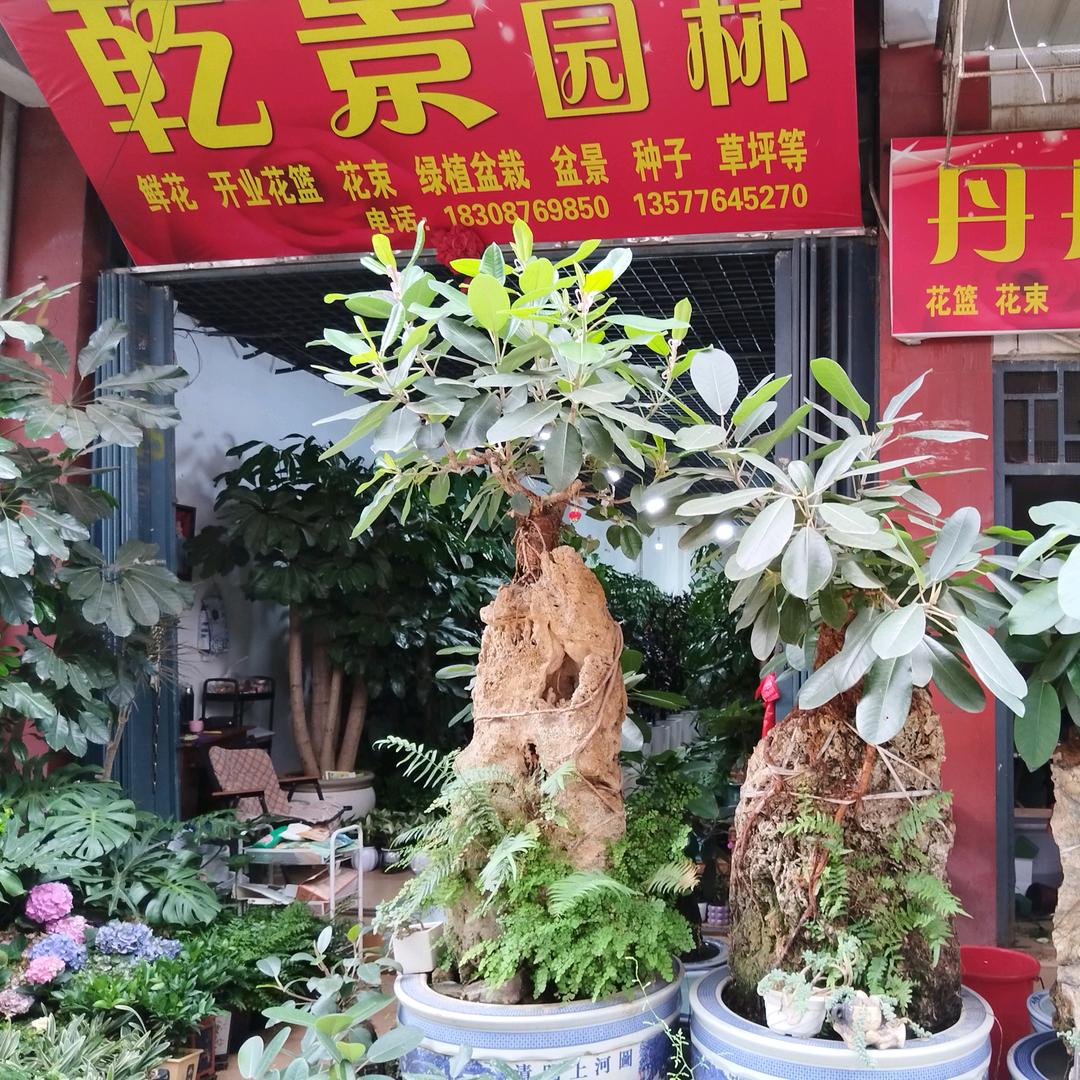 丹丹花坊～乾景园林