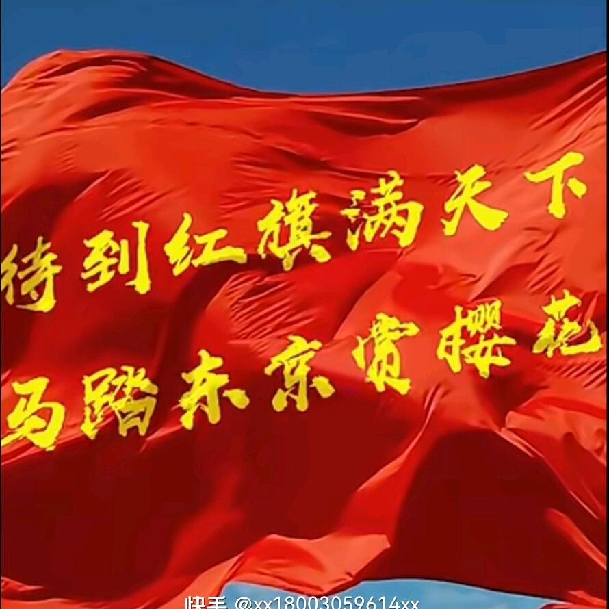 战旗369