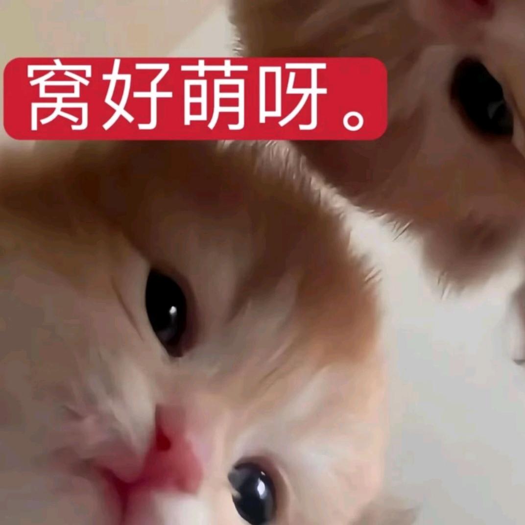 脉搏