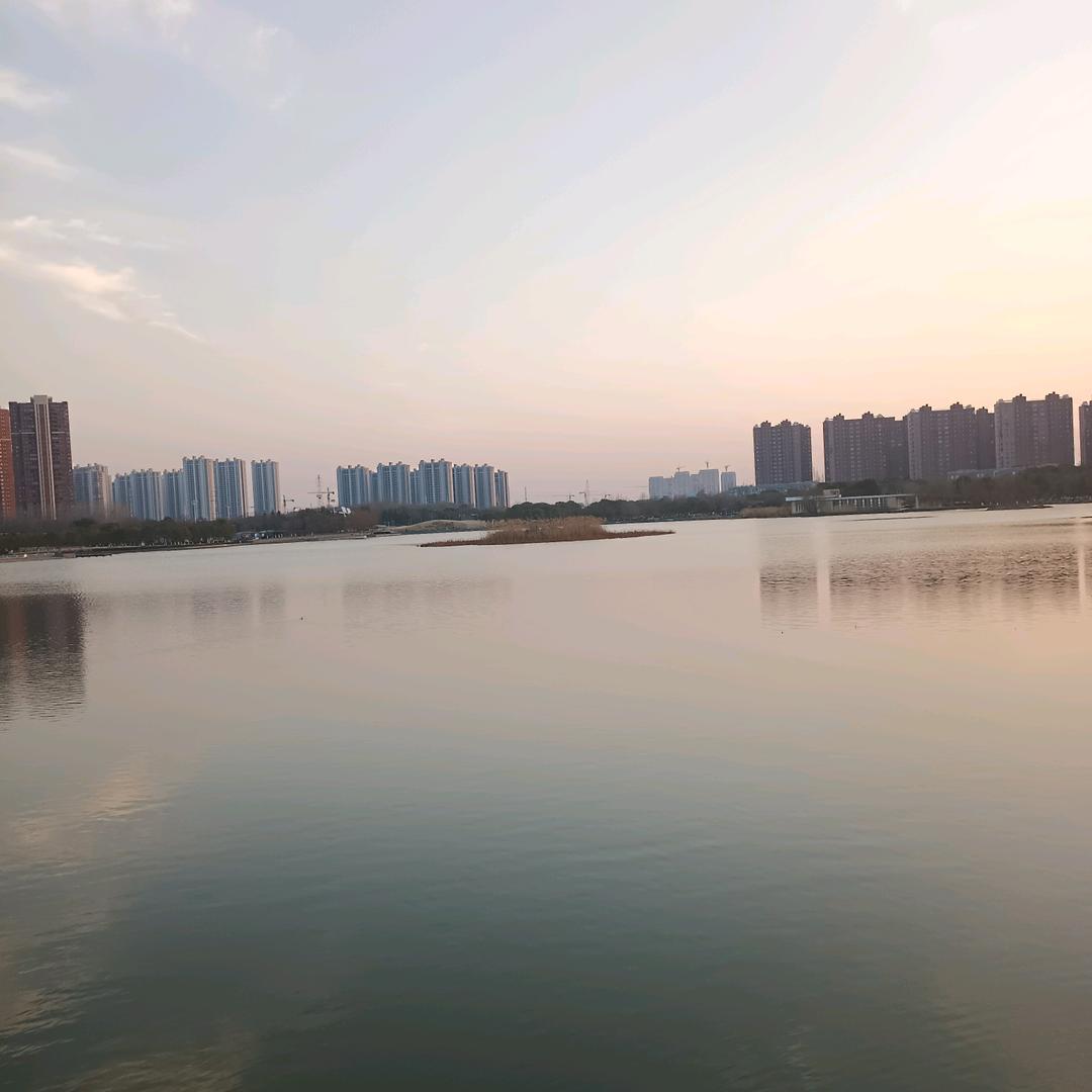中哥
