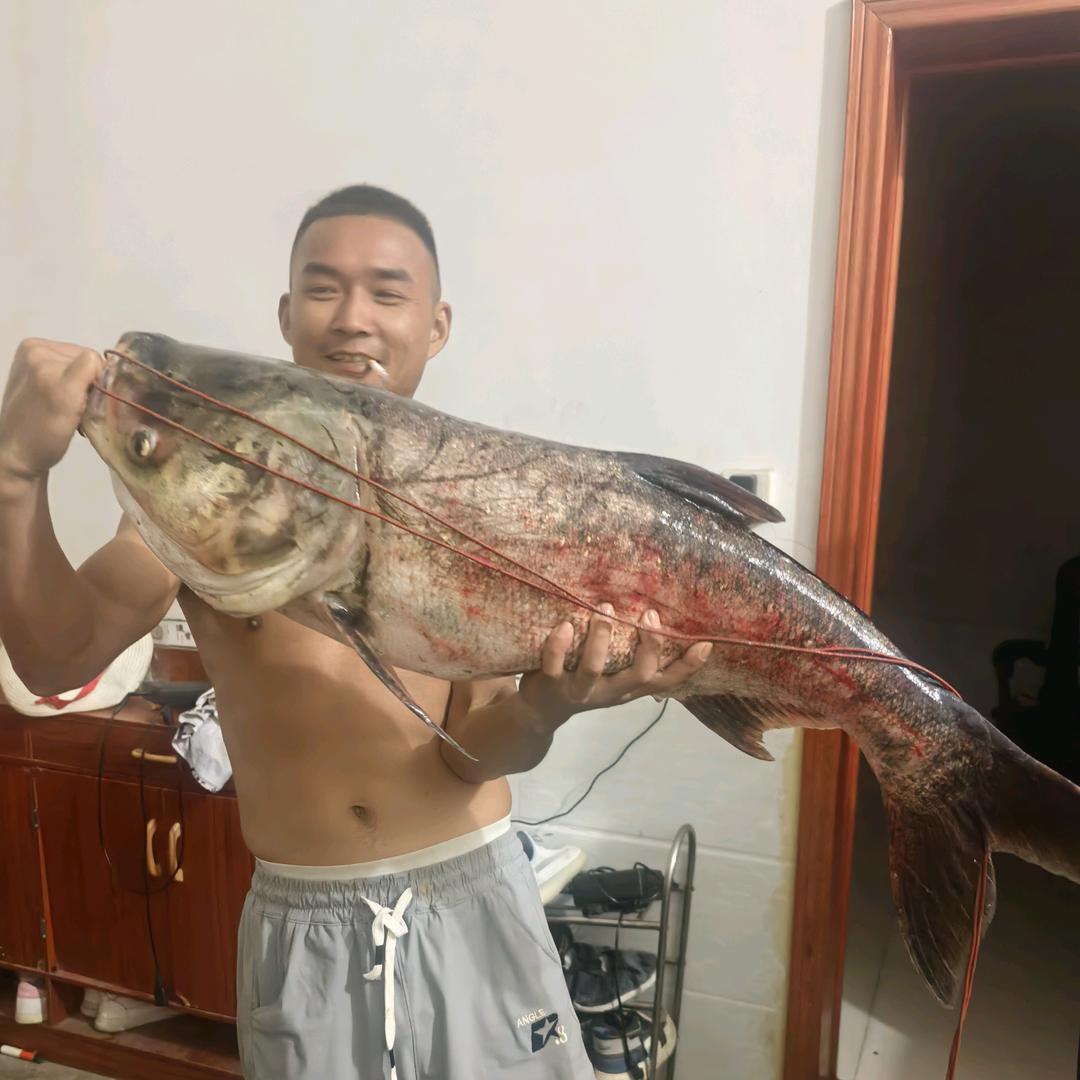 丿东