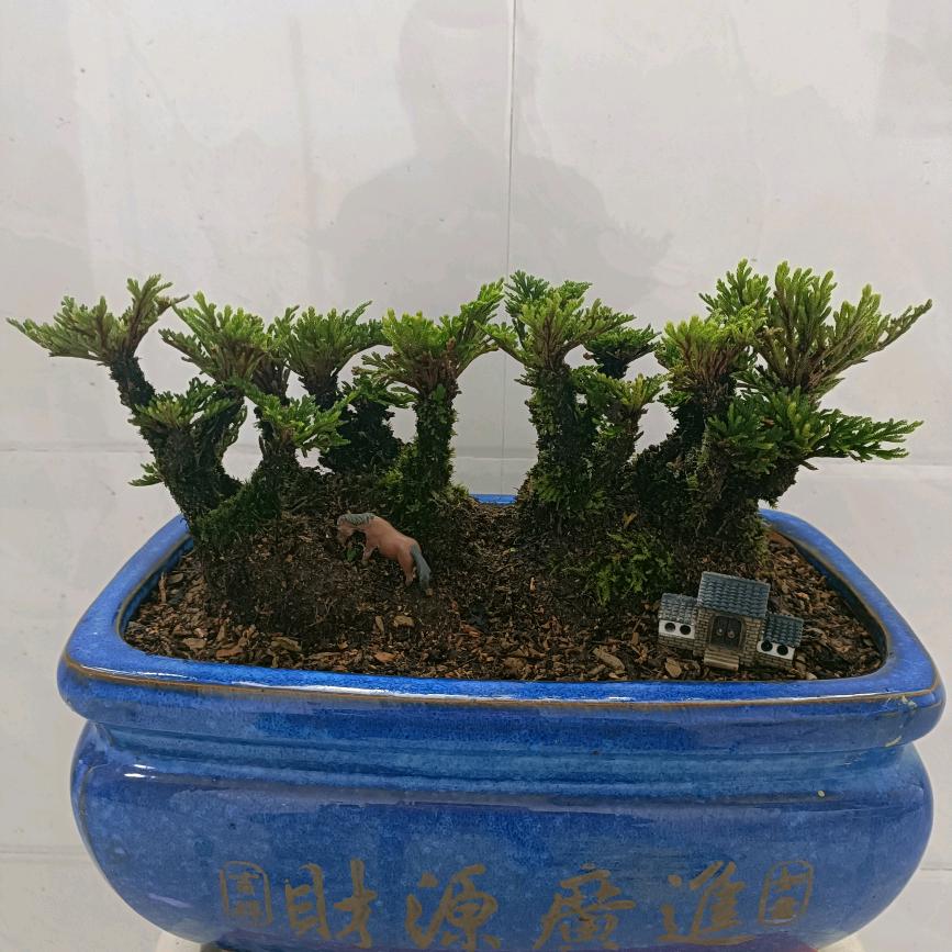 品