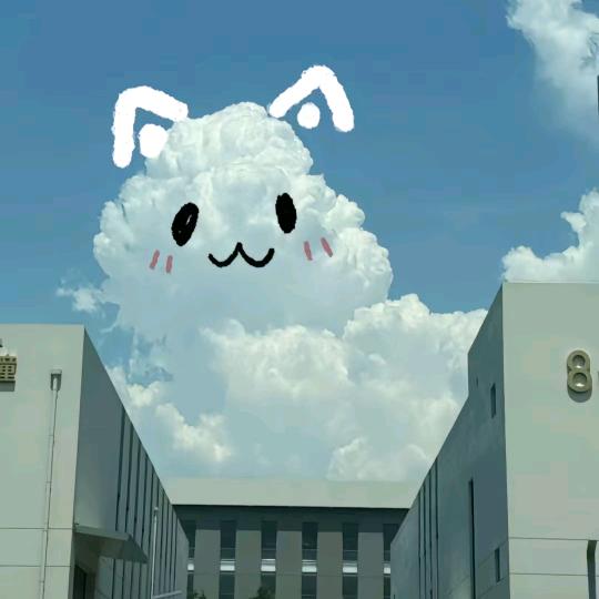 没头脑