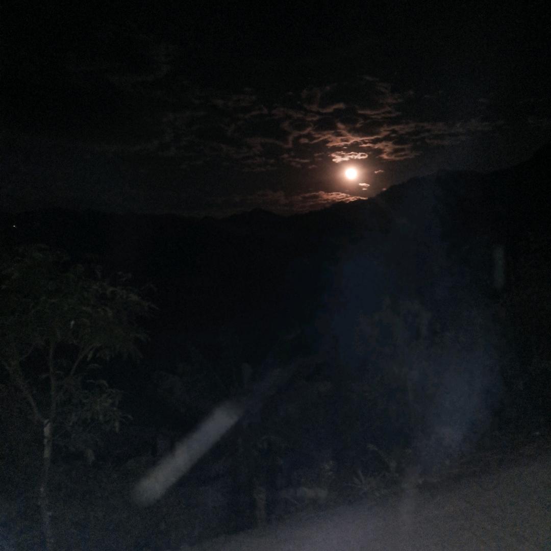 潇洒