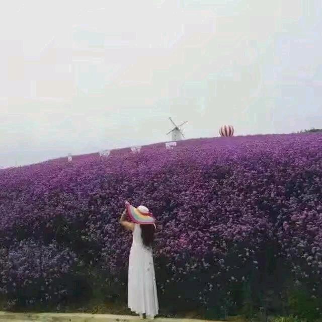 ZYT謝绝连赞