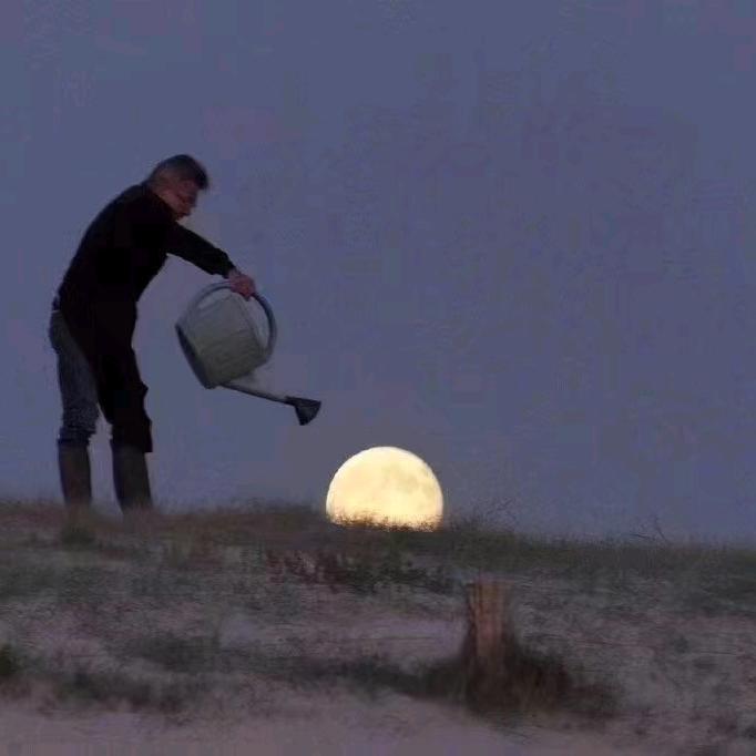 云南菜篮子电子商务科技有限公司