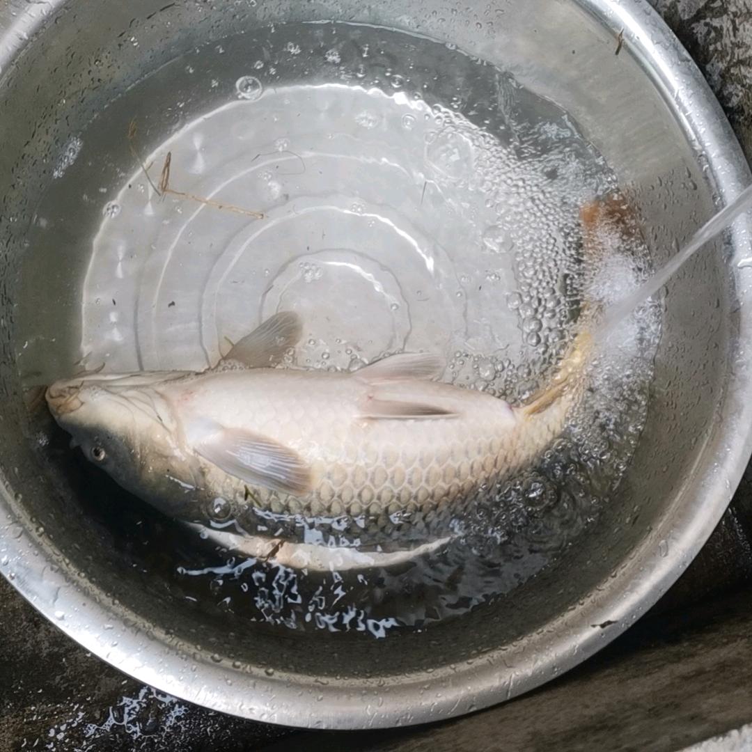 张大胆鱼情探测