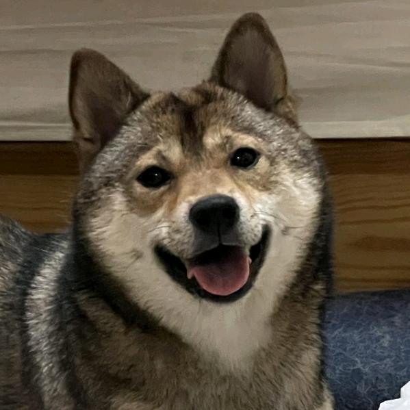 宇宙超级无敌元宝大王中的大王